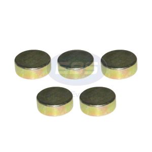 REPAIR KIT CALIPER (CAPS FOR SN)