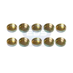 REPAIR KIT CALIPER (CAPS PK10)