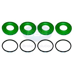 REPAIR PERROT CALIPER