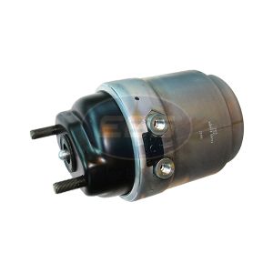 SPRING BRAKE (DISC)